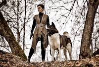 Amerikansk Akita Kuma  Amerikansk Akita Kuma