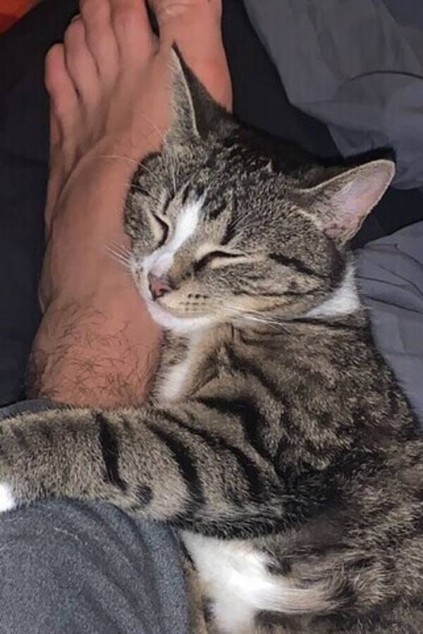 Kat - Müsli  Kat - Müsli