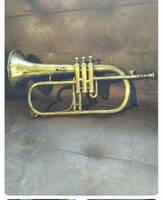 Trumpeter Trumpeter