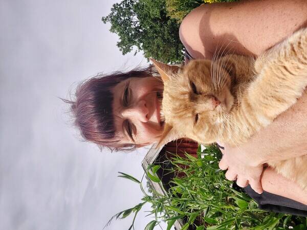 Katt - Katten Pinglan.