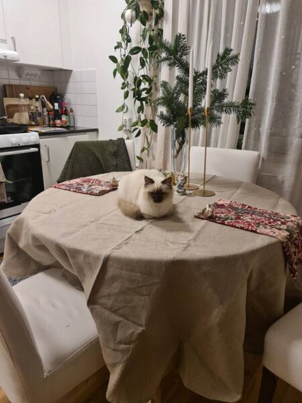 Lgenhet - Studio 1:a