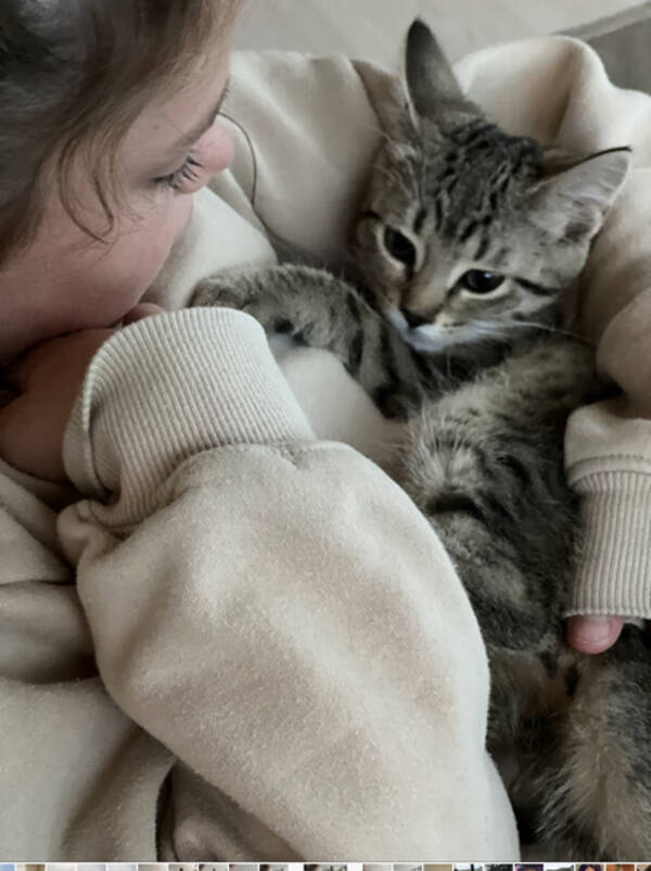 Katt - katt Katt - katt