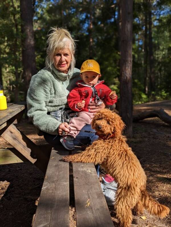 Hund - Pudeln Lizzy