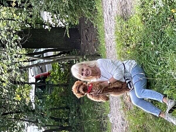 Hund - Pudeln Lizzy