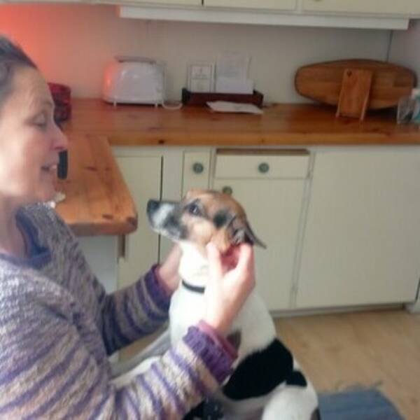 Hund - Dansk- svensk, Hugo