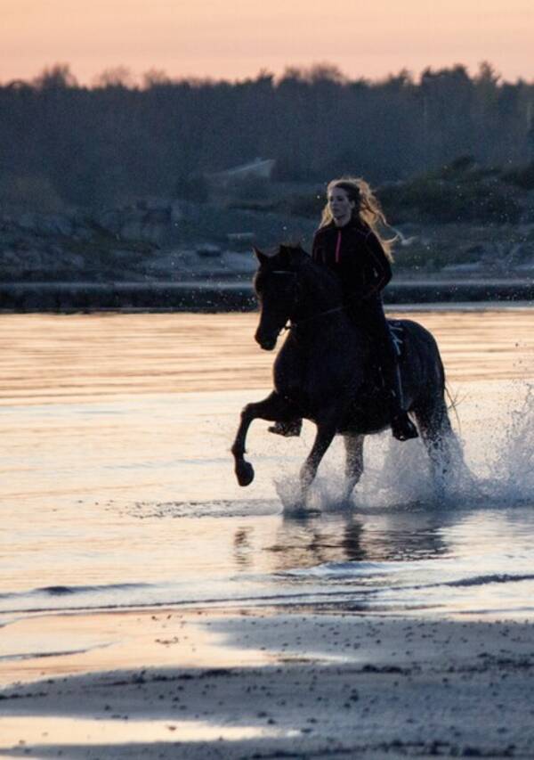 vrigt - Svart sttlig hst