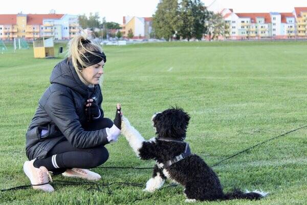 Hund - Happy Swippie