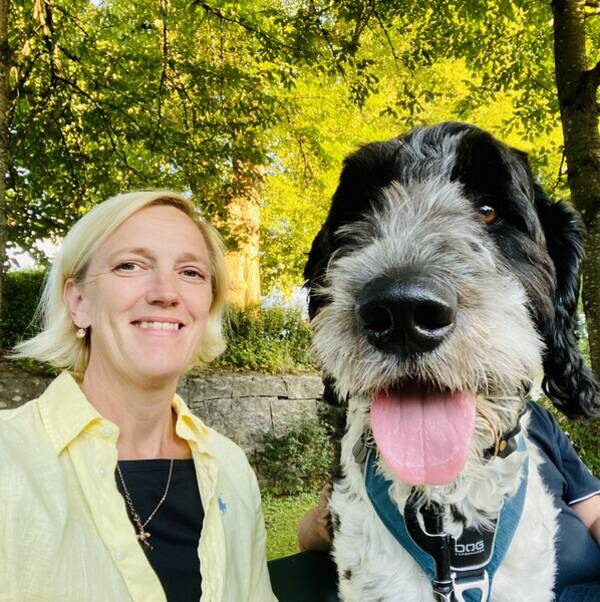Hund - Springerdoodlen Kingzley 