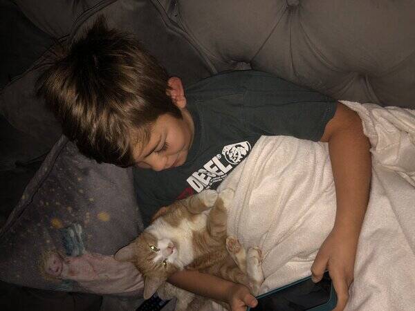 Katt