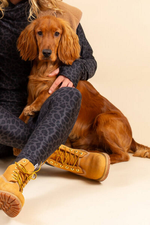 Hund - Jaktcockern Pelle