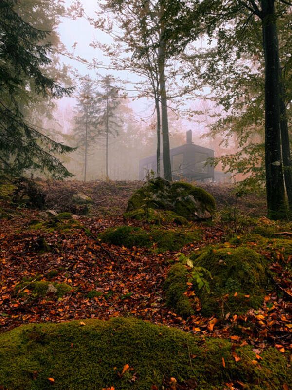 Sommarstuga - Stuga i Immeln