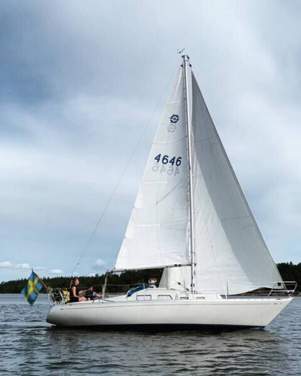 Rekvista - Segelbt Maxi Fenix
