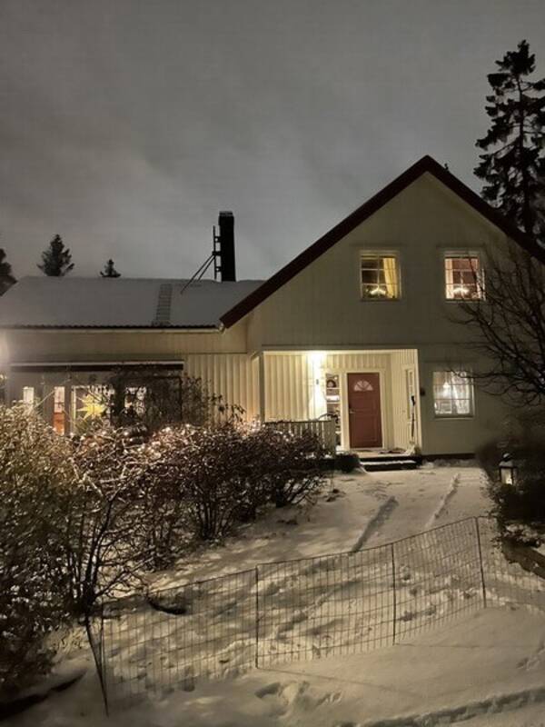 Hus - Trvilla i Vega