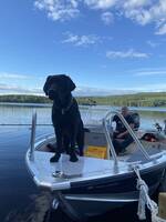 Lider aluminiumbåt ny Lider aluminiumbåt ny