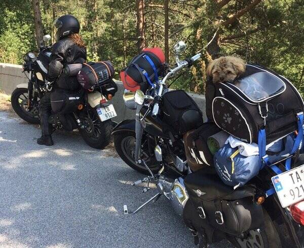 Kjøretøy - Harley Davidson Kjøretøy - Harley Davidson