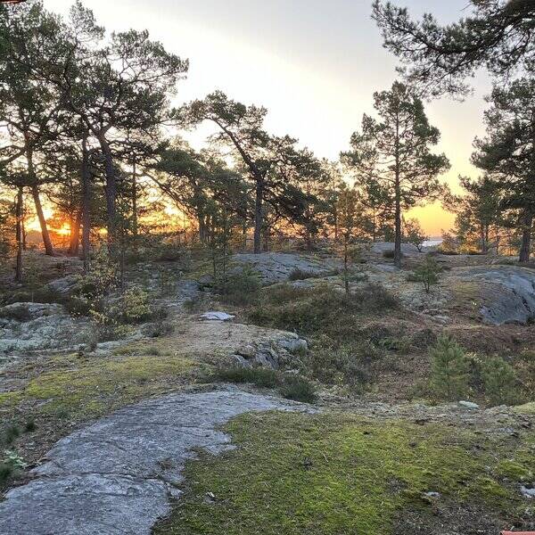 Sommarstuga - Sommarstuga Muskö Stockholms skärgård