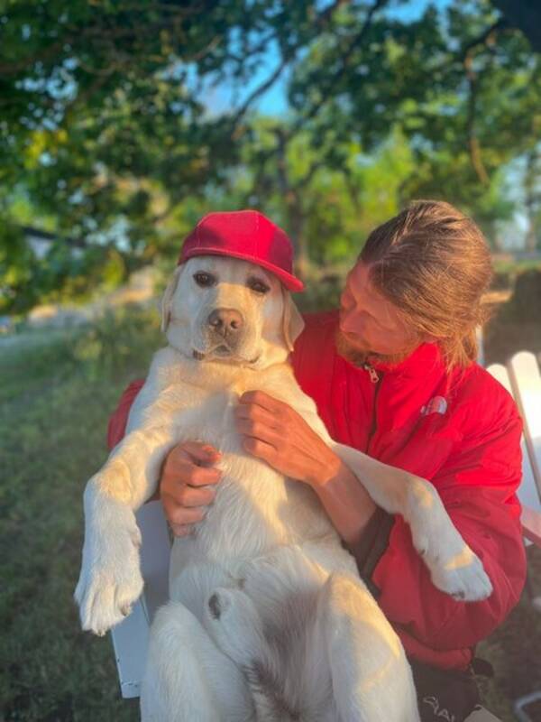 Hund - Labradoren Bublik