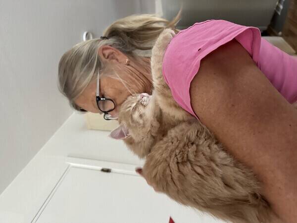 Katt - Kramgoa Fabian 