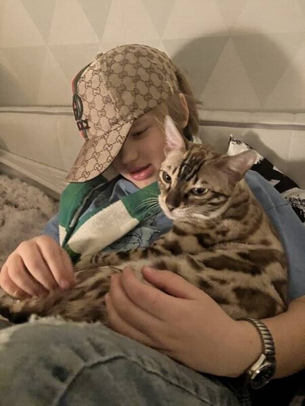 Katt - Katten Nyx
