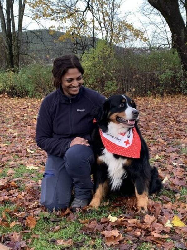 Hund - Berner Sennen- tispe