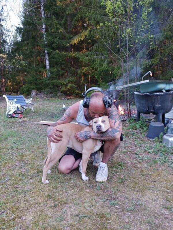Hund - Nala Hund - Nala
