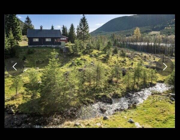 Hytte - Hytte med sæter på Totenåsen Hytte - Hytte med sæter på Totenåsen