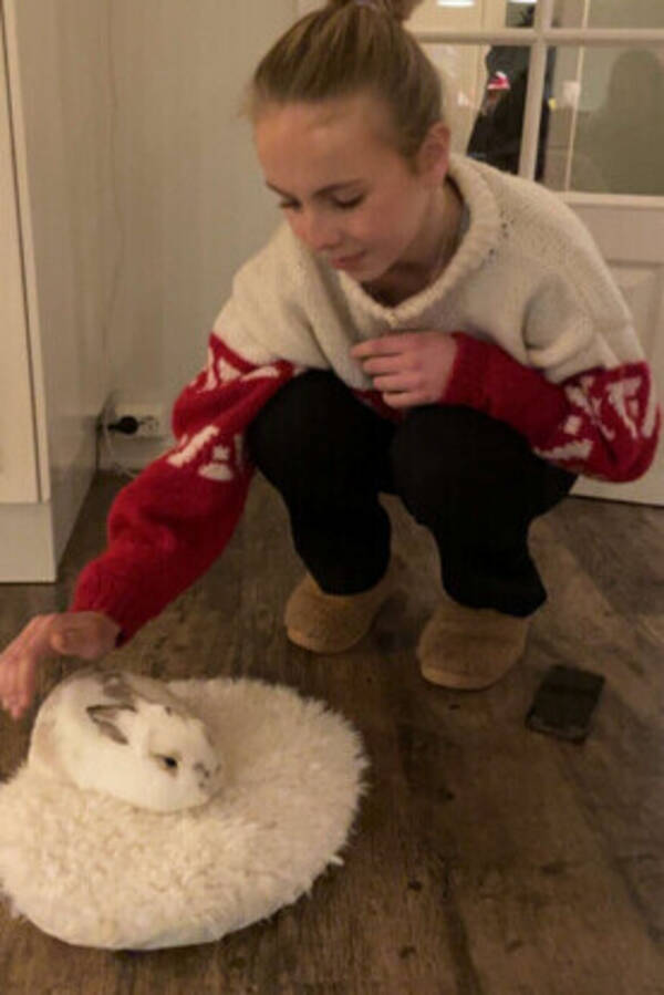 Annet - Kanin Snhvit