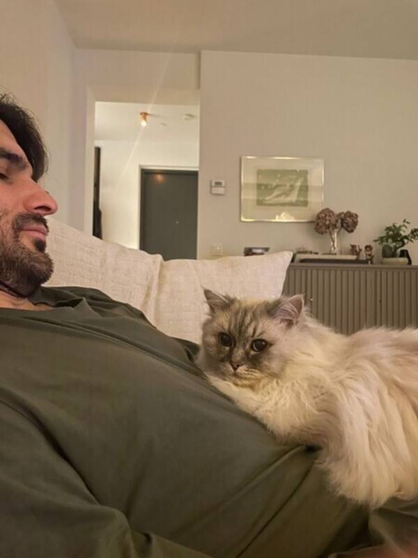Katt - Fluffig vit katt