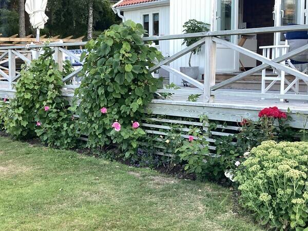 Hus - Sommarhus i mittemot Bovallstrand 