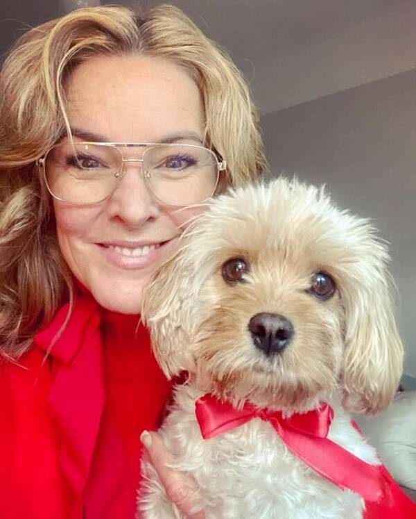 Hund - Cavapoo Poppy 