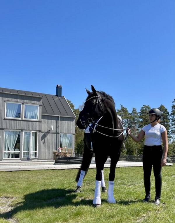 Hus - Trevlig villa med stor tomt och pool 