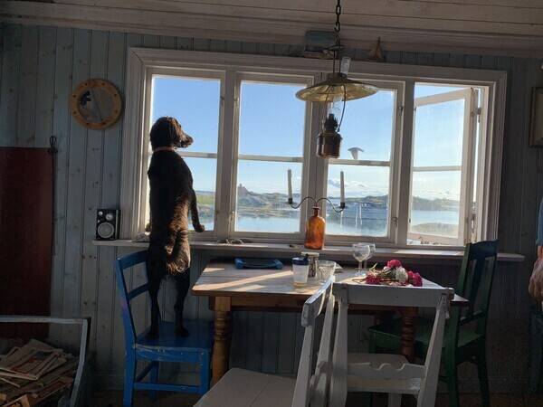 Sommarstuga - Ut fredel skrgrden 