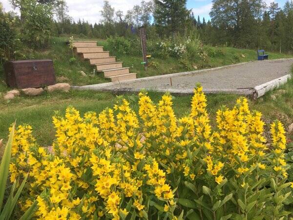 Annet - Seter i Trysil, med fin utsikt og gamle  Annet - Seter i Trysil, med fin utsikt og gamle
