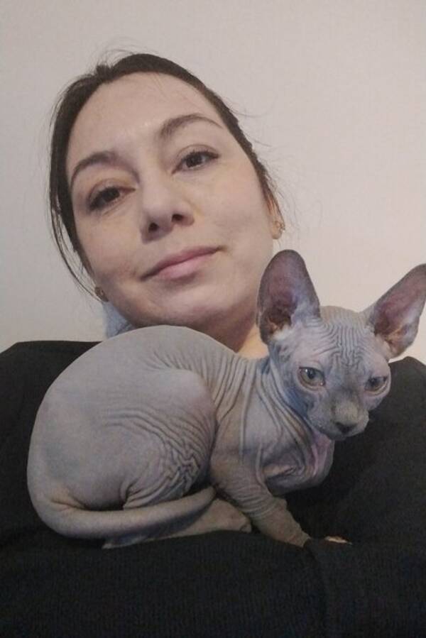 Katt - Tv nakna Sphynxflickor 
