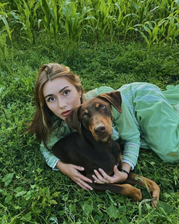 Hund - Pablo, medelstor hund 