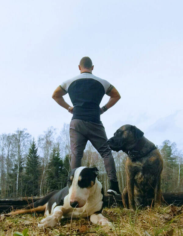 Hund - Bulle og Medusa