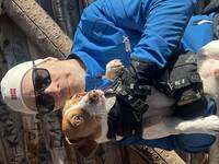 Gårdshund Rocky Gårdshund Rocky