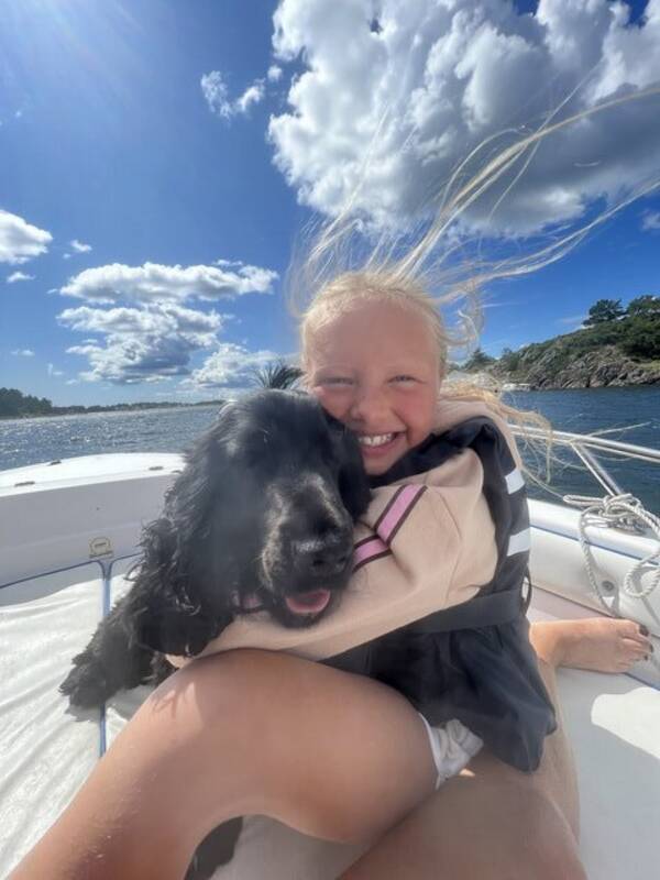 Hund - Cocker Spaniel, Salto Hund - Cocker Spaniel, Salto