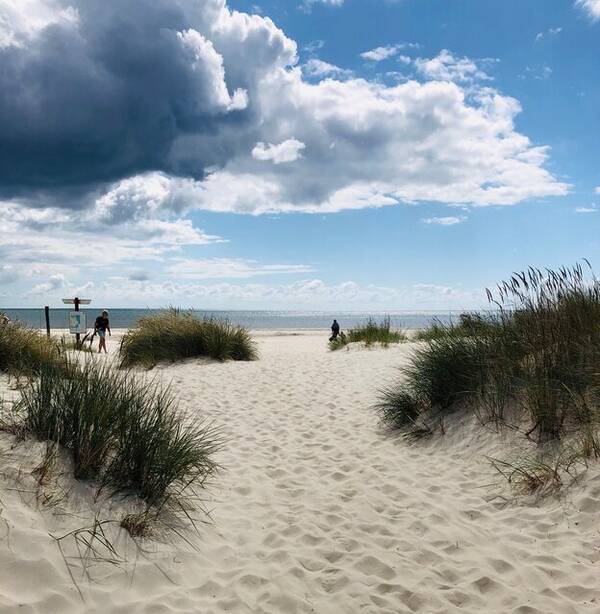 Sommarstuga - sterlen och havsnra