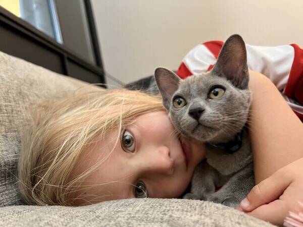 Katt - Lillebror och katt