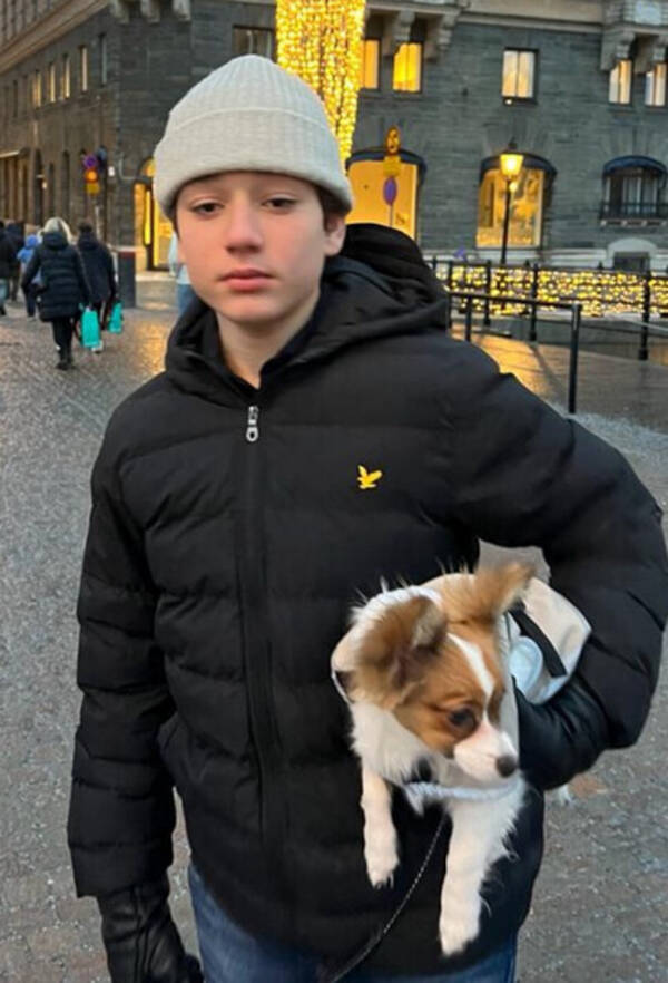 Hund - Bamse.
