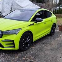 Green Mamba Green Mamba