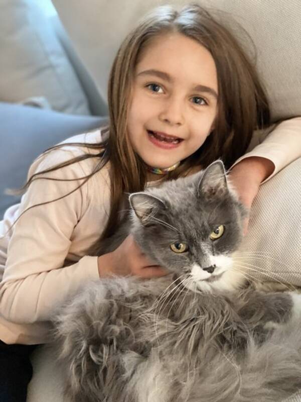 Katt