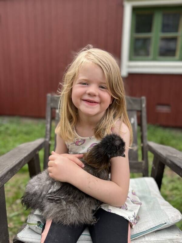 Annet - Høna Pai Annet - Høna Pai