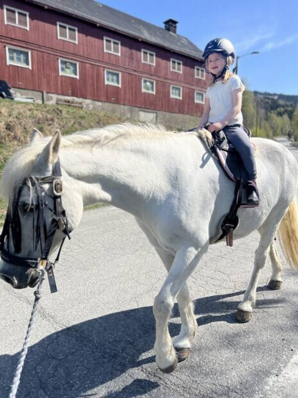 Annet - Prinsessehesten Arthur
