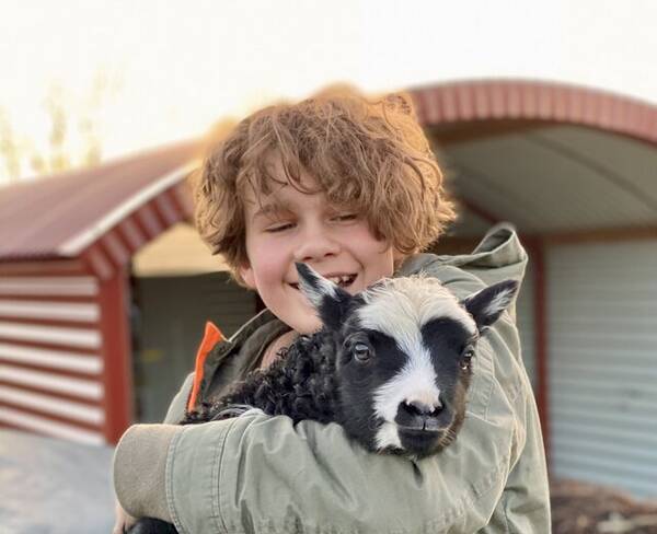 vrigt - Vi har fr och lamm som r vldigt tama 