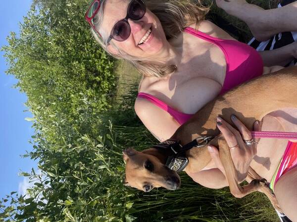 Hund - Italiensk vinthund