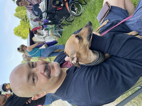 Hund - Italiensk vinthund