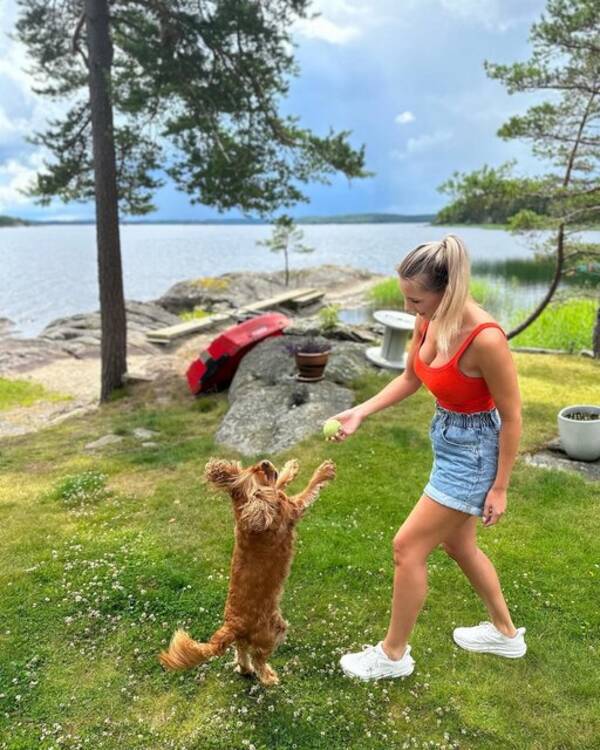 Hund - Casper Cavalier Hund - Casper Cavalier