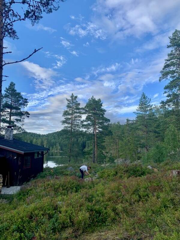 Hytte - Hytte i østmarka Hytte - Hytte i østmarka